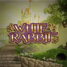 White Rabbit