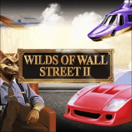 Wilds of Wallstreet