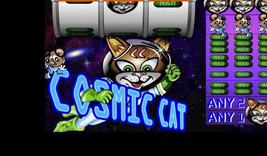 Cosmic Cat