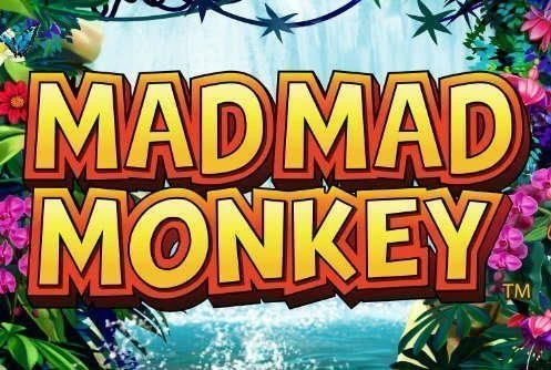 Mad Mad Monkey logo photo