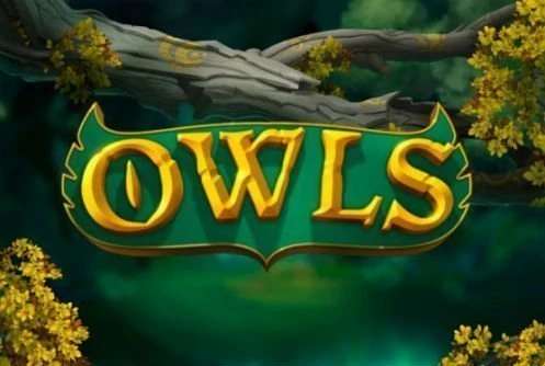 Owls slot på casino photo