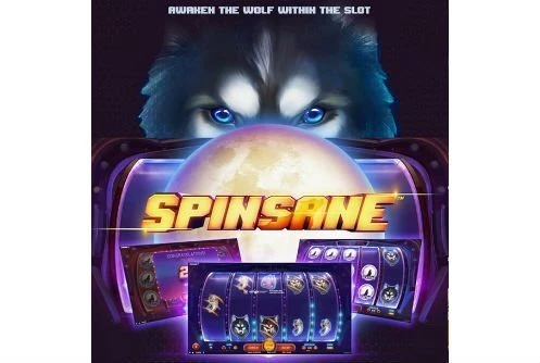 Spinsane online slot photo