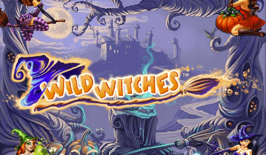 Wild Witches