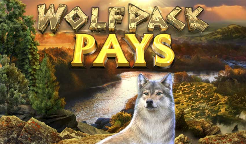 Wolfpack Pays