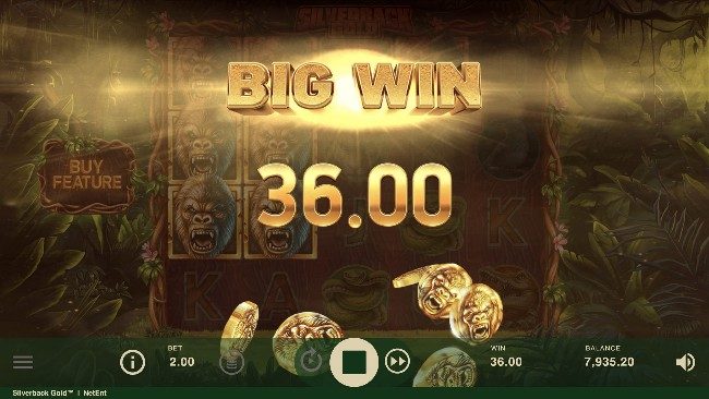 Silverback gold är en spelautomat från NetEnt