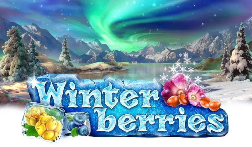 Winter Berries photo
